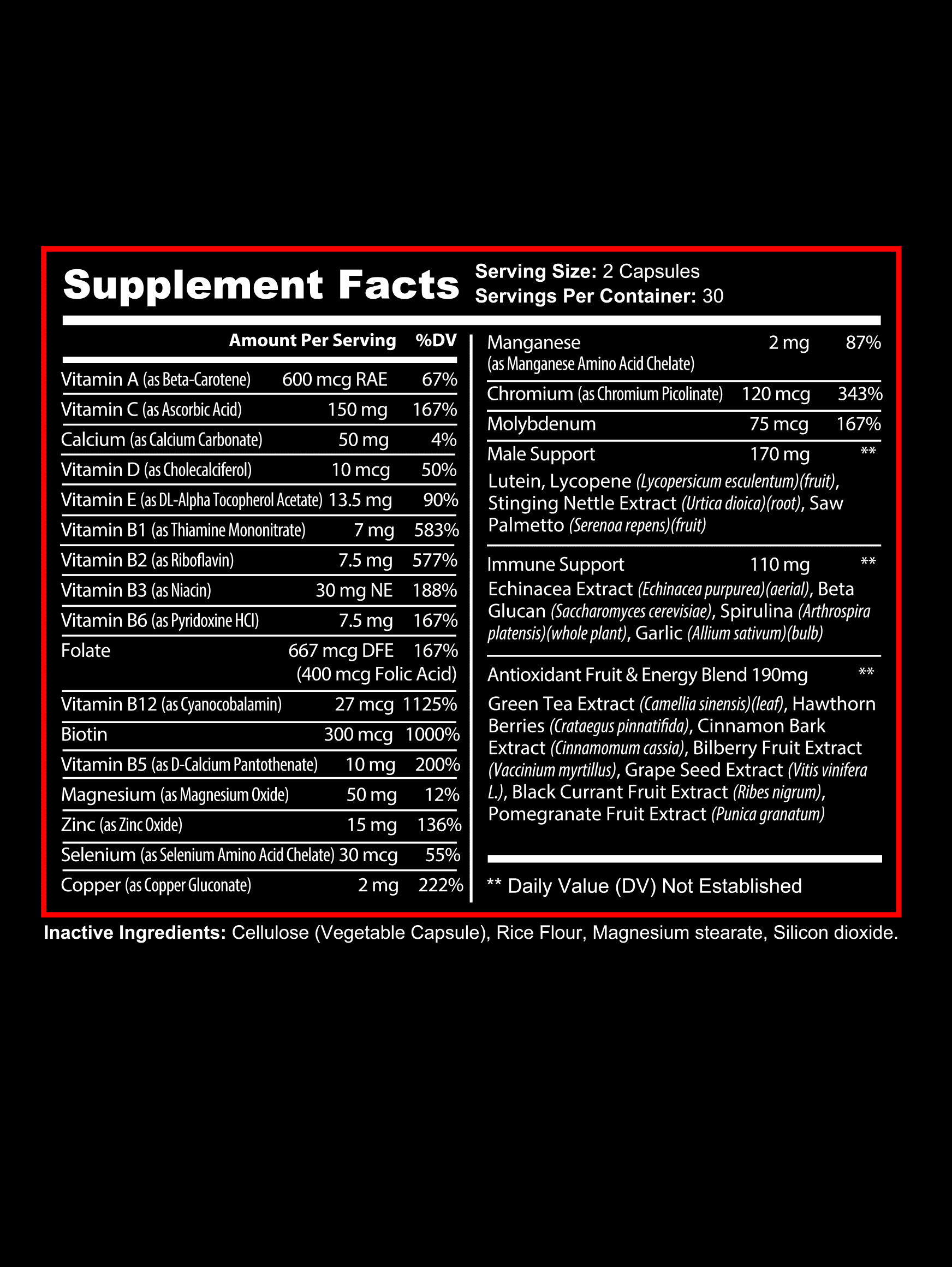 ALL IN ONE - Men's Multivitamin-3